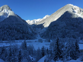 Outstanding Lake View. Kranjska Gora